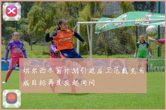 切尔西冬窗计划引进后卫范戴克或成目标再度发起询问