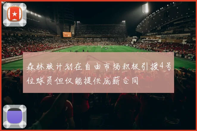 森林狼计划在自由市场积极引援4号位球员但仅能提供底薪合同