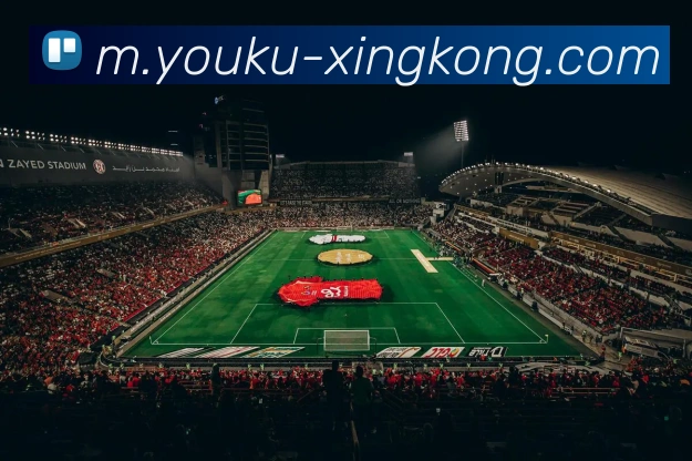 星空体育平台生态图